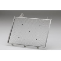 AELLA Radiator Guard for Ducati Panigale V2 (2025+) AELLA Radiator Guard for Ducati Panigale V2 (2025+)